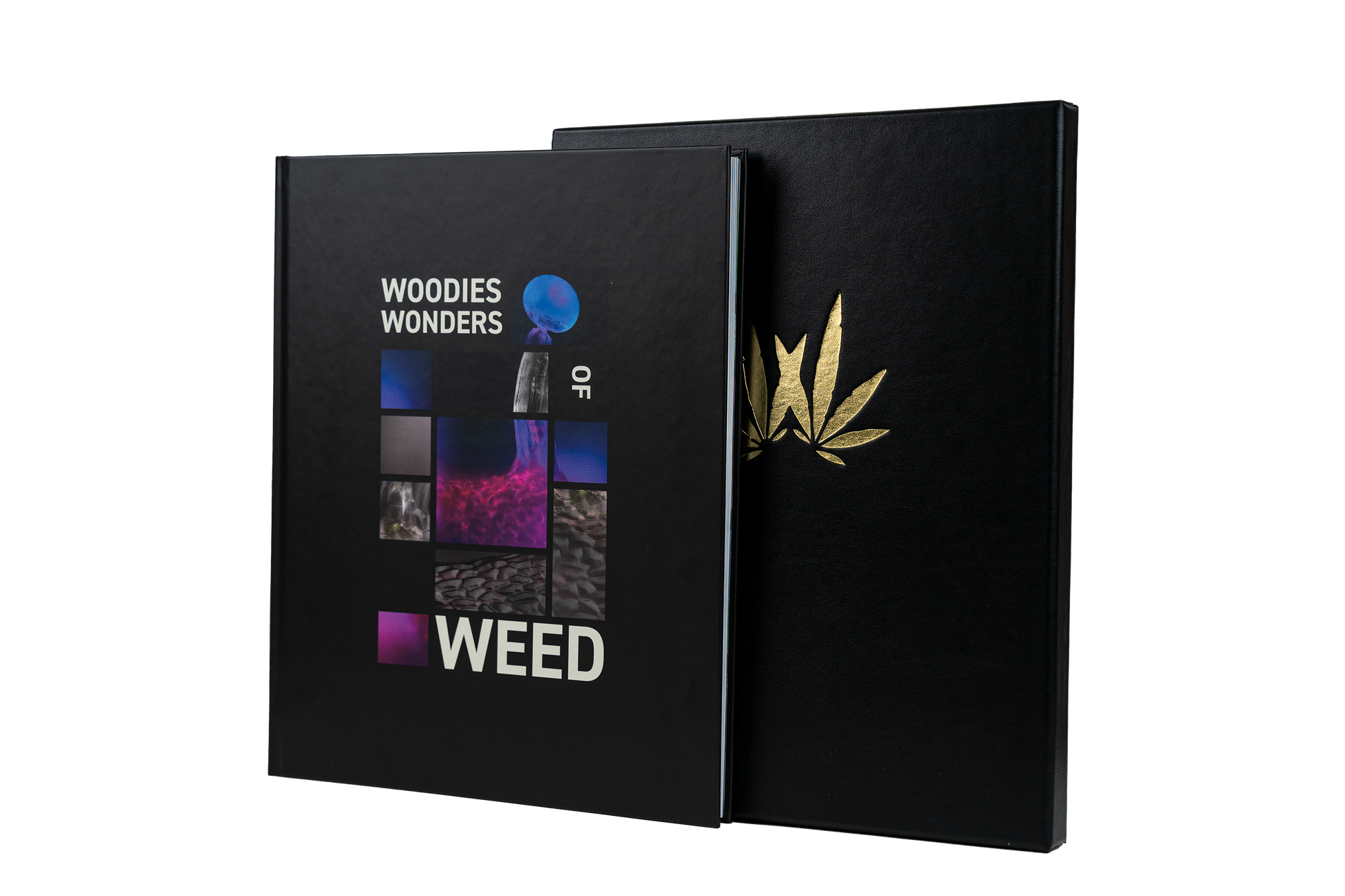 Woodies Coffee Table Book image 0