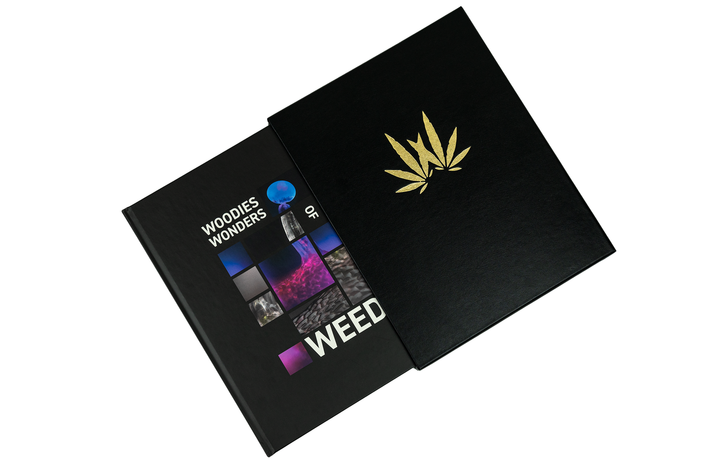Woodies Coffee Table Book image 1